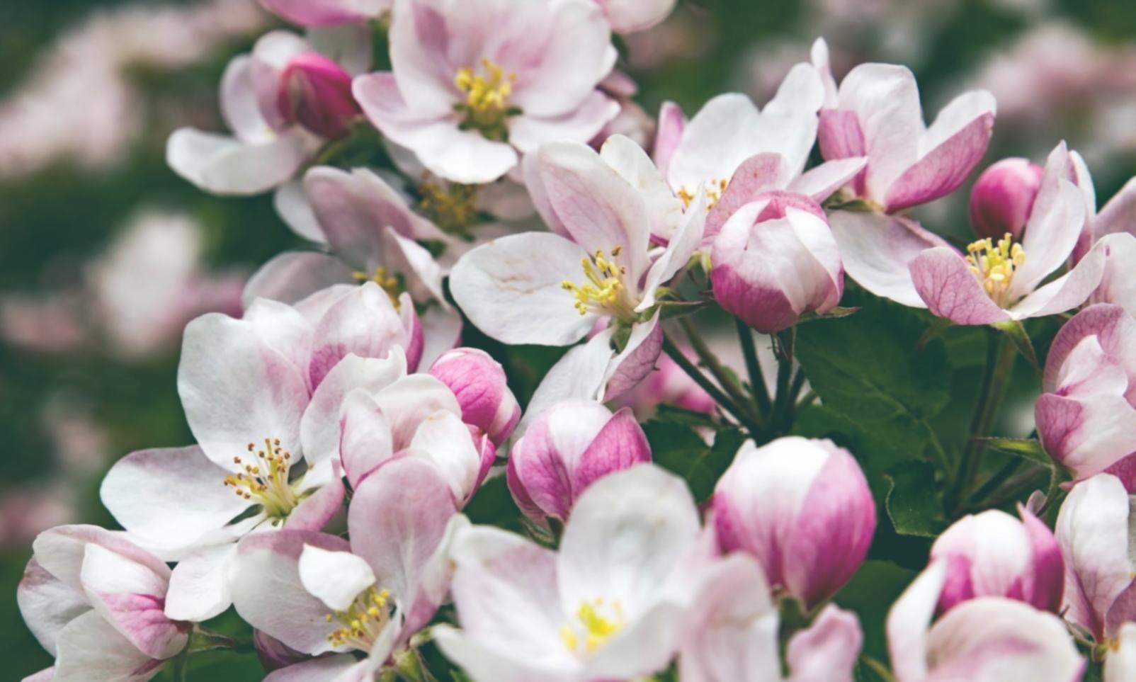 Базові техніки роботи з композицією