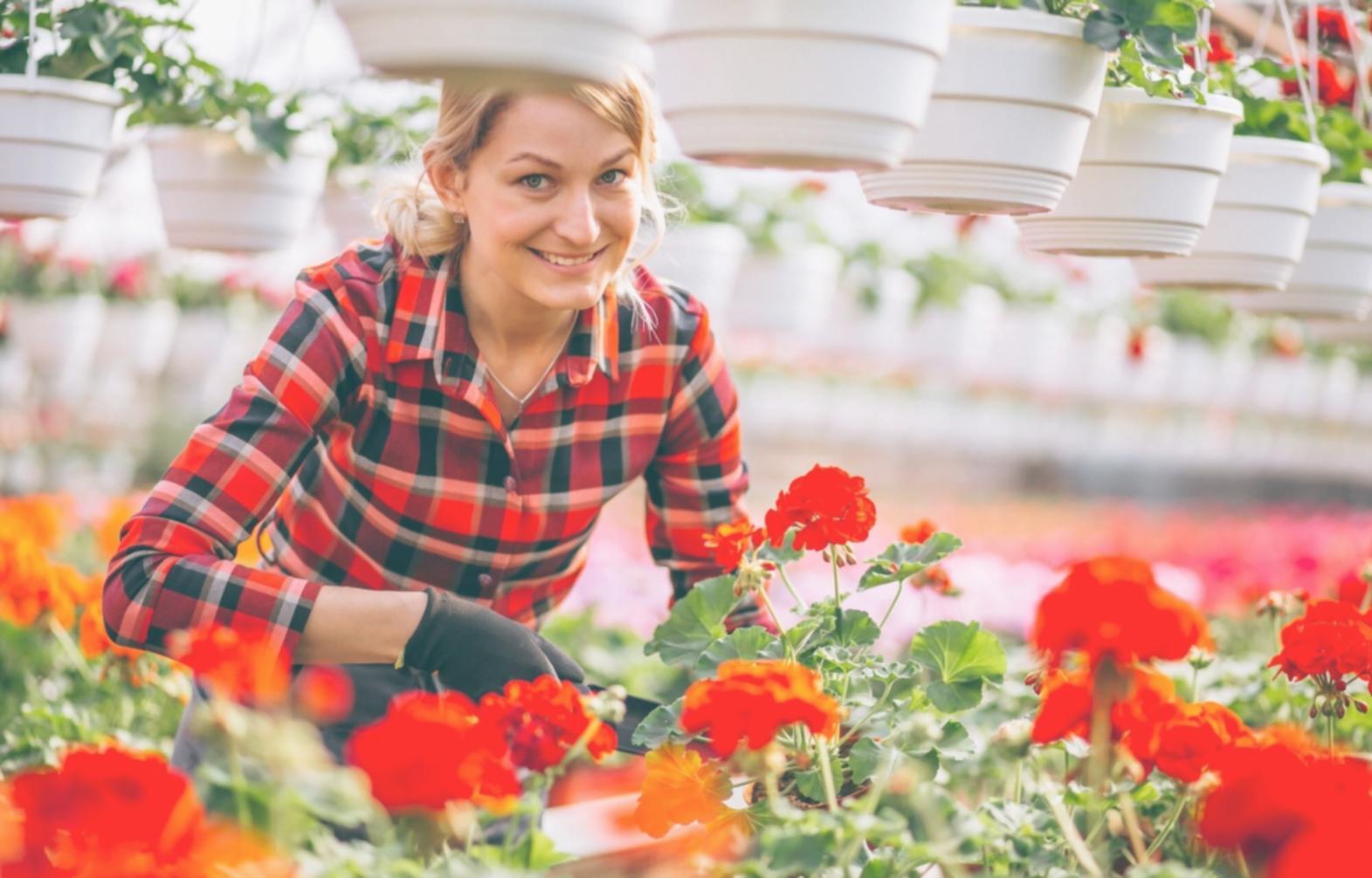 Програма навчання ресторанної флористики